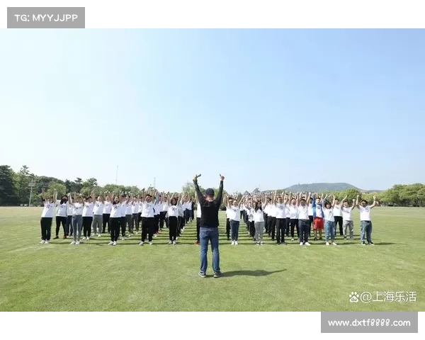 助力团队成功的五大光辉装备推荐 助你打造高效协作与卓越表现 助力团队成功的五大光辉装备推荐 助你打造高效协作与卓越表现
