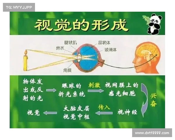 如何在失明状态下激发与培养独特的感知能力与思维方式 如何在失明状态下激发与培养独特的感知能力与思维方式