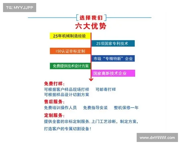 如何根据个人优势与市场需求选择适合的职业及战术搭配策略 如何根据个人优势与市场需求选择适合的职业及战术搭配策略