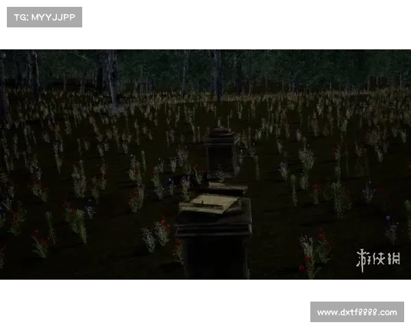 揭开江湖探险五大秘境神秘面纱探索失落传说与隐世奇境真相 揭开江湖探险五大秘境神秘面纱探索失落传说与隐世奇境真相